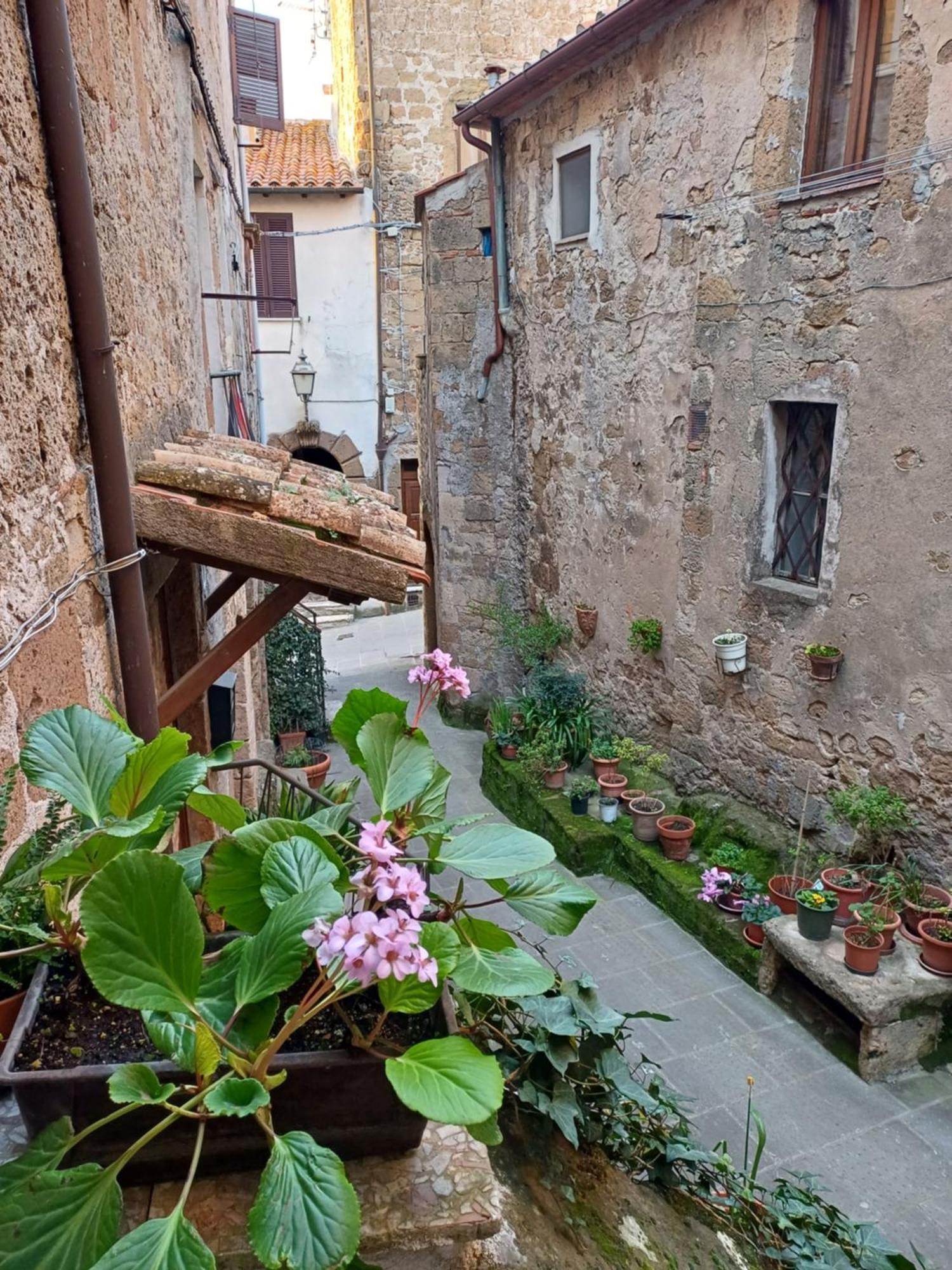 Casa Il Girasole Pitigliano公寓 外观 照片